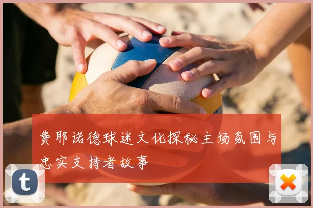 费耶诺德球迷文化探秘主场氛围与忠实支持者故事