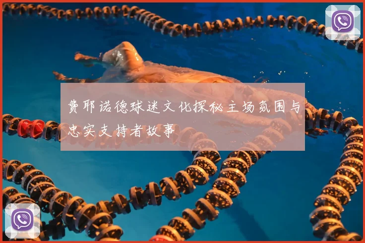 费耶诺德球迷文化探秘主场氛围与忠实支持者故事