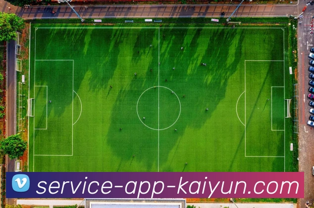 开云app平台生态图