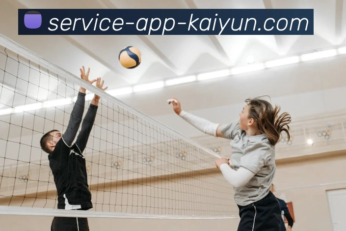 App Interface Preview