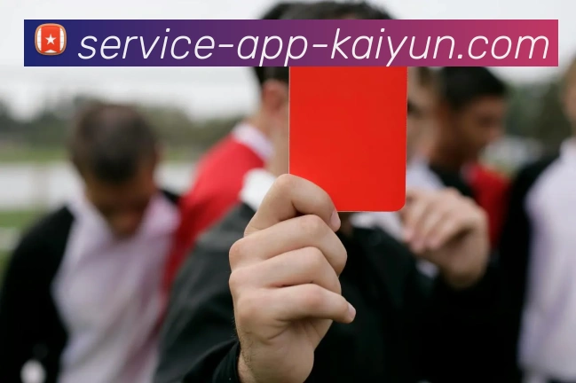 开云appAPP 封面图